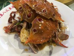 -四姑娘川味海鲜(八爪鱼店)