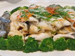 -天鹅到家·保姆月嫂育儿嫂(朝阳店)