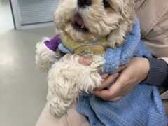 -美美宠物诊疗中心·异宠·骨科(滨江东信分院)