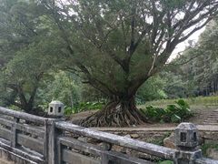 -广州市石门国家森林公园