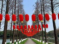 -圩墩遗址公园
