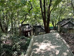 -上海佘山国家森林公园天马山园