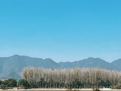 -东梓关景区村庄