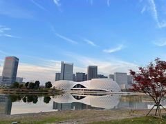 -金沙湖公园