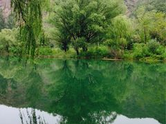 百里山水画廊风景区-乌龙峡谷景区