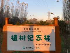 -东郊湿地公园