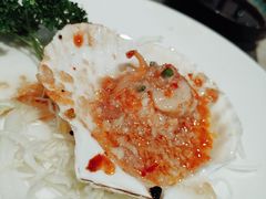 -常州环球恐龙城维景国际大酒店
