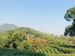 -西湖风景区十里琅珰-五云山