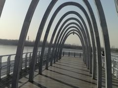 -大兴滨河森林公园