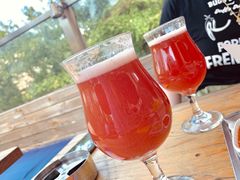 -Arrow Factory Brewing箭厂啤酒