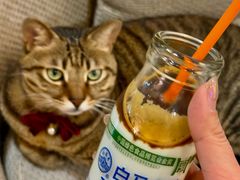 -栖咖啡(泉舜店)