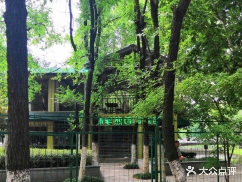 爱冒险的孩子都是小机灵
