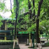 爱冒险的孩子都是小机灵