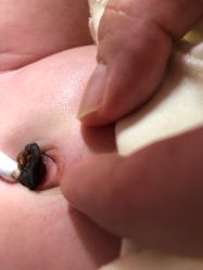 -大连市妇女儿童医疗中心