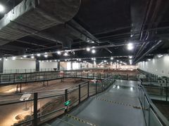 -南越王博物院(王宫展区)