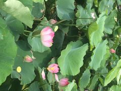 漩门湾国家湿地公园-漩门湾国家湿地公园