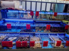 -金海湾海鲜排档(朱家尖店)