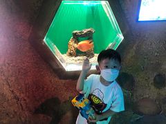 -华夏文旅海洋公园