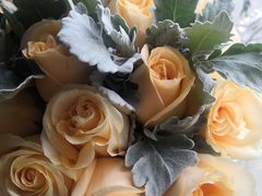 -北京稻香村(花市店)