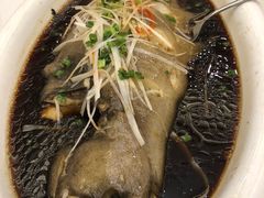清蒸鳐鱼-金狮麟·新豫菜(金码大厦店)