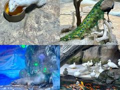 -海合安青岛极地海洋公园