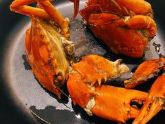 -莲花公园煎蟹(总店)