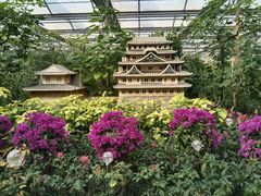 -南宫五洲植物乐园
