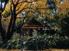 -荔枝公园(福田区)