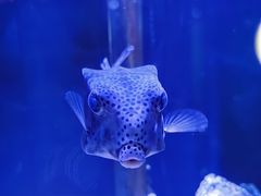 -太平洋海底世界