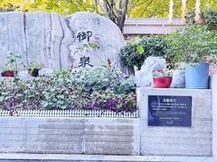 -陆地游轮西山温泉号