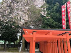 -水前寺成趣园