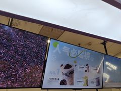 -一只酸奶牛(时代天街A馆店)