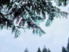 -山王坪喀斯特国家生态公园