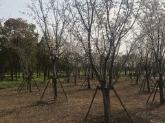 -嘉北郊野公园