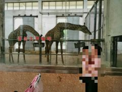 -石家庄市动物园