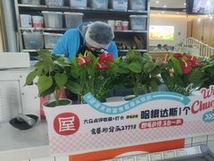 -屋头串串(龙潭寺店)