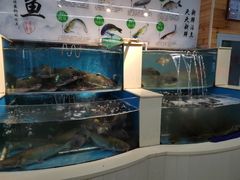 水产区-屯老二农家铁锅炖·行业领军者(梅江店)