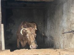 -红嫂家乡旅游区
