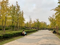 -黄兴公园