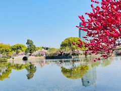 -无锡蠡湖国家湿地公园-蠡园