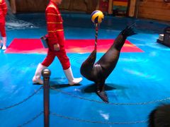 -烟台海昌鲸鲨海洋公园