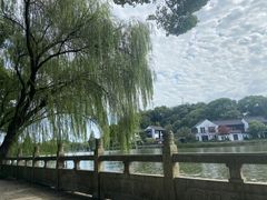 -鲁镇