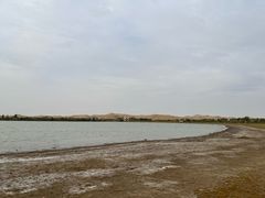 -亿利库布其七星湖沙漠生态旅游区