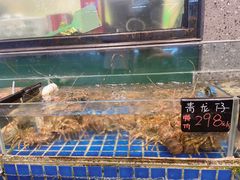 水产区-飞尝蚝·顺德菜·鱼生(顺德总店)