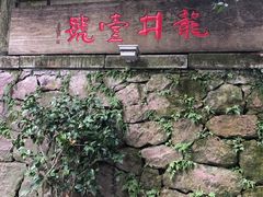 -龙井壹号·茶缘山景宴(龙井村店)