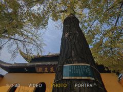 -西园戒幢律寺