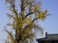 -云幽谷旅游区
