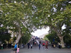 -运河游船(武林门码头)