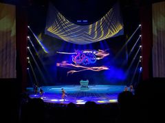 -水秀国际大剧院