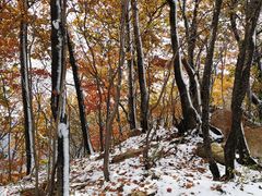 -丹东天桥沟景区